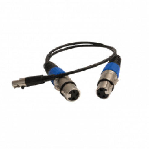 2 x 3-pin Male XLR to 5-pin Female Mini-XLR Cable